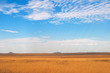 © Frenzie Savanna  - field and blue sky