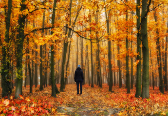 foggy forest. girl in the autumn forest. foggy morning