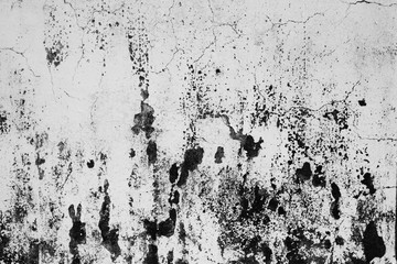 Canvas Print - Dirty white wall with mold