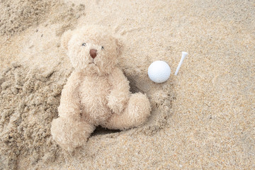 Wall Mural - Bear golfer with golf ball alone at the sandy beach for relax holiday 