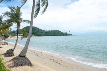 Ko Samui, Thailand’s second largest island, lies in the Gulf of Thailand off the east coast of the Kra Isthmus. It's known for its palm-fringed beaches, coconut groves 