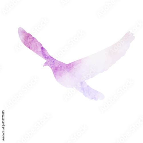isolated, watercolor silhouette of a flying bird