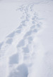 canvas print picture - doppelte Fußspur im Schnee
