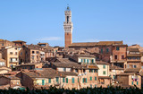 Fototapeta Na sufit - Cityscape with houses, narrow streets and brick towers of Siena, Tuscany. City in Italy