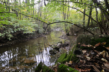 Tuscany, Italy, a stream flowing in the hills near Arezzo, on an autumn day