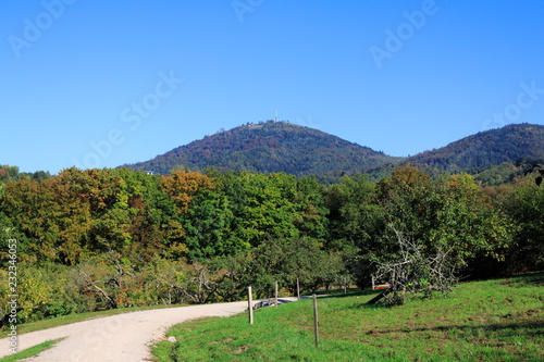 Fotografie, Obraz Blick über das öffentliche Obstgut, auf den Berg Merkur in Baden-Baden