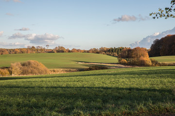 Skåne Landscape