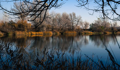 Wall Mural - Beautiful autumn landscape. Trees reflected in the water of the lake