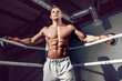 © zamuruev - muscular professional kick boxer resting on the ropes in the corner of the ring while training for the next match