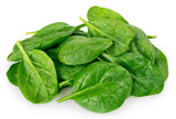 Fototapeta  - Fresh spinach on white background