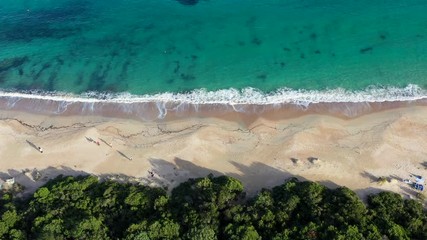 Wall Mural - Aerial view of a green coast with a beautiful wild beach bathed by a turquoise and transparent sea. Sardinia, Italy