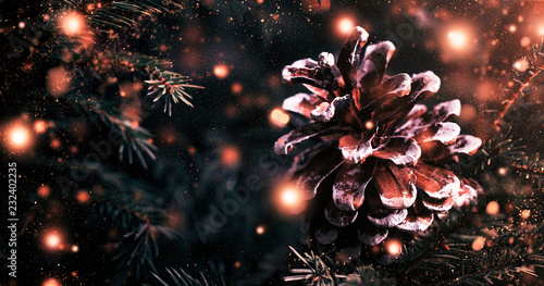 Foto-Schiebegardine mit Schienensystem - Christmas or New Year blurred snow background with festive fir tree and pine cones, selective focus (von 5ph)