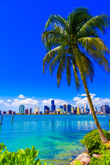 Wall Mural - Skyline view of Miami Florida