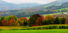 Rolling Farm Hills Are Broken By Swaths Of Trees In Full Autumn Color