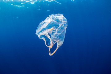 underwater pollution:- a discarded plastic carrier bag drifting in a tropical, blue water ocean
