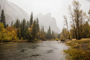 Wall Mural - Foggy morning at Three Sisters and Merced River in Yosemite National Park, California