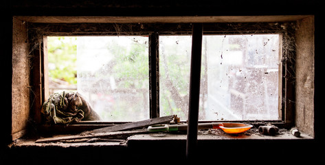 Wall Mural - Old window in dark barn as background
