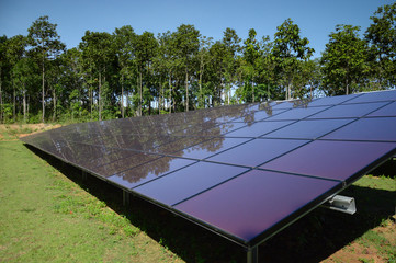 Solar panels in the forest