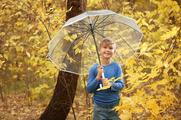 Sticker - Cute little boy with umbrella in park on autumn day