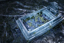 The Ancient Mysterious Grave With Cross Is Illuminated At Night, Around Is The Roots Of Trees.
