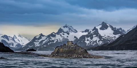 cooper island - south georgia