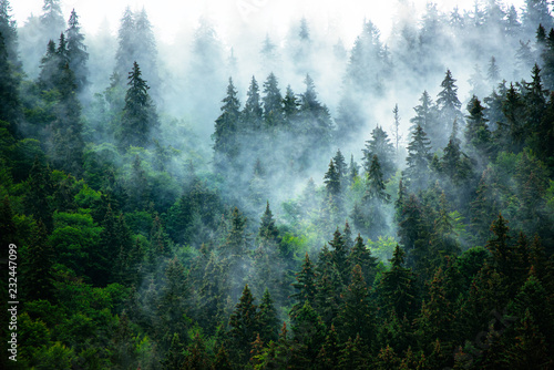 Fotografía Misty mountain landscape