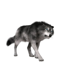 Digital 3D Illustration Of A Wolf