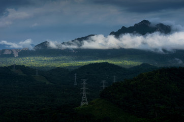 Wall Mural - electric transmission towers in fog