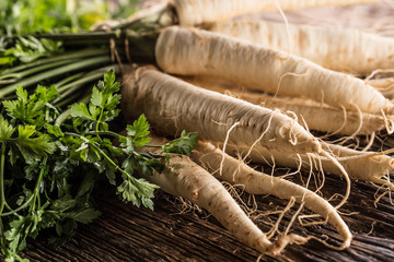 Close-up parsnip with parsley top on wooden board