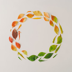 Poster - Creative wreath of colorful autumn or fall leaves. Flat lay, top view. Changing season concept. Nature composition with paper card note copy space.