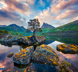 Wall Mural - fantastic summer sunrise on the innerdalsvatna lake. colorful morning scene in norway, europe. beaut