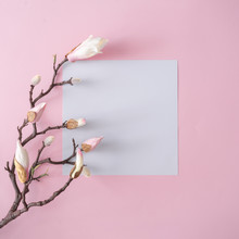 White And Pink Flowers On Pastel Pink Background With Paper Card Note. Minimal Flat Lay Top View Composition.
