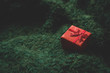 Red gift box on green soft background. Surprise, comfort, warmth, care concept