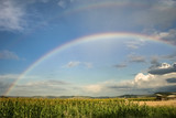 Fototapeta Tęcza - Bright double rainbow over the romanian countryside