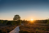Fototapeta Perspektywa 3d - Westruper Heide - sunset