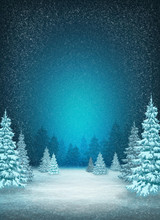 Winter Snow Background. Christmas Trees In The Snow. Frosty Night. Pines In Hoarfrost.
