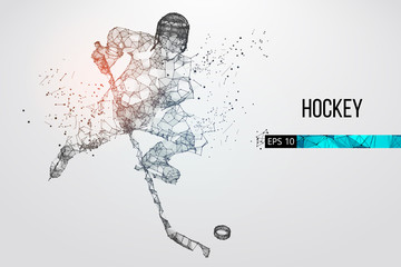 Wall Mural - Silhouette of a hockey player from particles, lines and triangles on background. Vector illustration