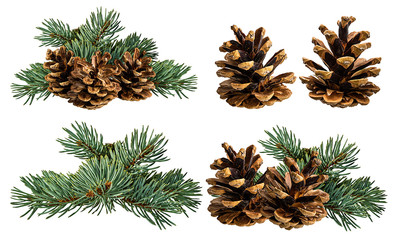 green fir branch with cone on white background with clipping pass