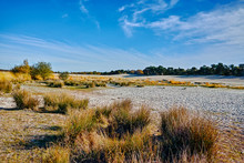 Landscape With Yellow Sand Dunes, Trees And Plants And Blue Sky, National Park Druinse Duinen In North Brabant, Netherlands
