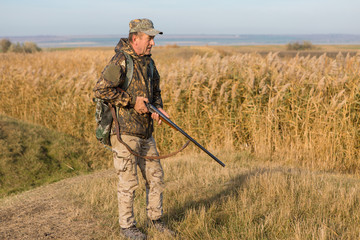 Hunters with a german drathaar and spaniel, pigeon hunting with dogs in reflective vests	