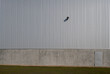 © Stocksy - industrial building