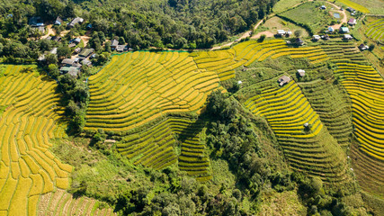 the most beautiful rice terraces at little hamlet of rolling rice terraces name ban pa pong piang an