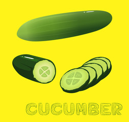 Vegetable Kind Cucumber Vector Illustration