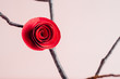 © Stocksy - Red paper rose on a twig