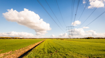 Wall Mural - High voltage lines and power pylons in a Dutch agricultural landscape with large meadows