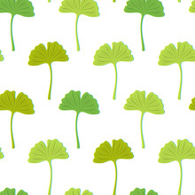 Seamless Texture With Green Ginkgo Leaves On A White Background