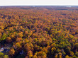 Aerial View of Fall Leaves and Colors around a Lake