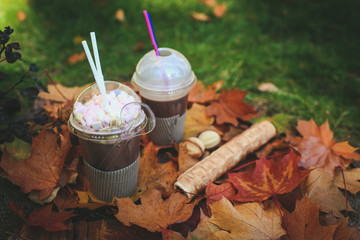 delicious cocoa with marshmallows and a tube with condensed milk in the autumn park