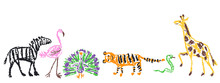 Wild Animals Set. Crayon Like Kid`s Hand Drawn Giraffe, Tiger, Flamingo, Snake, Peacock, Zebra, Isolated On White. Child`s Drawn Stroke Colorful Pastel Chalk Or Pencil Vector Art. Doodle Funny Style