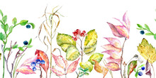 Floral Seamless Border Of A Autumn Leaves,aronia, Blueberry,euonymus .Image For Fabric, Paper And Other Printing And Web Projects.Watercolor Hand Drawn Illustration.White Background.	